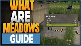 What Is The Meadow Stat In Pastures In Farming Simulator 25 [upl. by Jacquenette90]