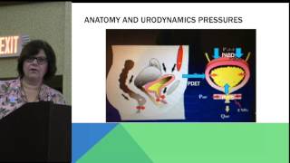 Urodynamics I  Basic [upl. by Lampert472]