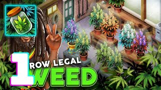 Hempire  Plant Growing Game Gameplay Walkthrough Part 1 iOS Android [upl. by Hines204]