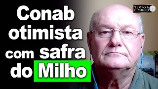 Conab otimista com safra do Milho [upl. by Worthington669]