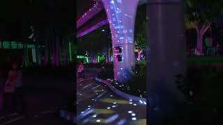 Dazzling Lights christmas dance christmasdance disco brisbane starcasino christmasinbrisbane [upl. by Ernaline]