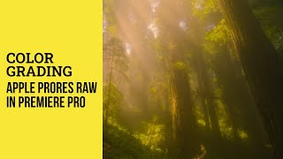 Color grading Apple ProRes RAW format in Premiere Pro [upl. by Hourihan412]