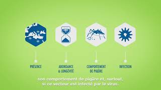 Limportance de l’entomologie médicale dans la surveillance des maladies vectorielles [upl. by Leuamme]