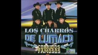 Nosotros Somos Los Charros  Los Charros De Lumaco Corridos Famosos [upl. by Aihtiekal]