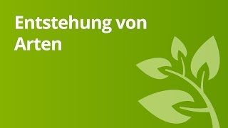 Die Entstehung neuer Arten  Biologie  Evolutionsbiologie [upl. by Etom]