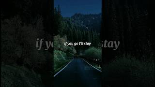 Say Yes To Heaven  lana del reylyrics musicforyoupage [upl. by Ailev]