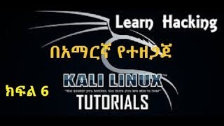 Basics of Kali Linux Terminal Commands  Part 3 Amharic [upl. by Odilia]