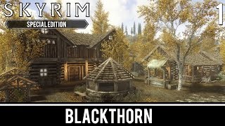 Skyrim Mods  Blackthorn Buildable Town  Part 1 [upl. by Ive170]