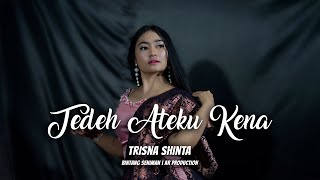 LAGU KARO TERBARU 2019  TEDEH ATEKU KENA TAK  TRISNA SHINTA OFFICIAL VIDEO [upl. by Ivo410]