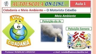 34 Meio Ambiente  Cidadão x Trânsito  Tipos de Poluentes  Tipos de Poluição [upl. by Okin]