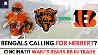 RUMOR Bengals CALLING BEARS For RB KHALIL HERBERT Chicago Bears News and Rumors [upl. by Oech]