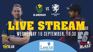 Glamorgan vs Somerset  Vitality Blast [upl. by Aracat524]