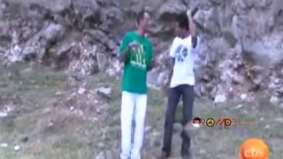 Wendwosen Mekonnen  Beshenena New Oromo Music 2013 [upl. by Jalbert375]