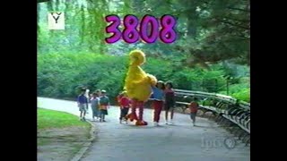 Sesame Street Episode 3808 Full Summer Rerun Version Recreation Remastered [upl. by Asilanom]