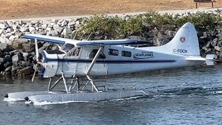 Beaver Twin Otter and OtterA Thrilling Showcase of De Havilland Aircraft [upl. by Nitsej270]