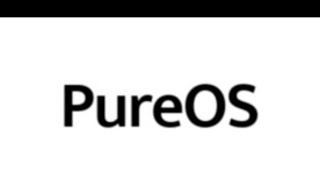 How To Permanently Install PURE OS 9 64BIT To USB or PC amp Review  OCTOBER 2019 [upl. by Sisenej]