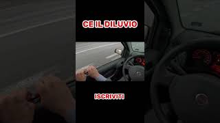 FIAT PANDA ROTTA  COSA DEVO FARE [upl. by Naanac]