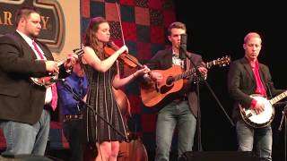 Mashtag Live quotLove Someone Like Mequot Bluegrass and BBQ Silver Dollar City Branson 5202017 [upl. by Oicinoid]