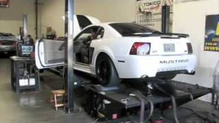 Mustang GT Dyno  261 RWHP and 289 RWTQ [upl. by Ahtel840]