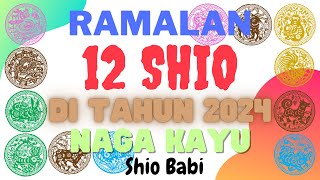 Shio Babi di Tahun 2024 [upl. by Pfosi]