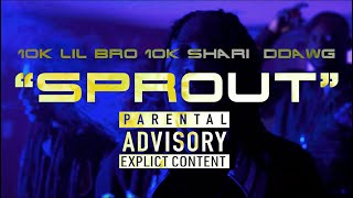 10k lil Bro X 10k Shari X DDawg  Sprout Official Visual Shot By Byrdeyeviews [upl. by Jacenta]