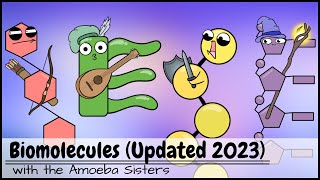 Biomolecules Updated 2023 [upl. by Auqeenwahs]