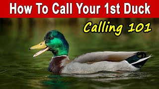 How To Call Ducks For Beginners amp Basic Calling Strategy [upl. by Oicneconi211]