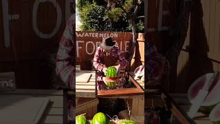 farmers market harvest gardening harvest life healthy harvest halloween harvest time tequil [upl. by Kaylil331]