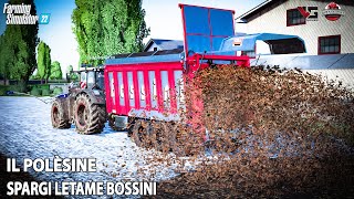 IL POLESINE COMPRIAMO LO SPARGI LETAME BOSSINI  FS22 ALEXFARMER [upl. by Hama]