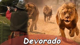 Cazador es devorado por leones  Historias felinas  40 [upl. by Magna]