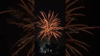 Chinese New Year Fireworks🎇Dragon Year 2024🐉chinesenewyear fireworks ytshorts celebration [upl. by Katusha8]