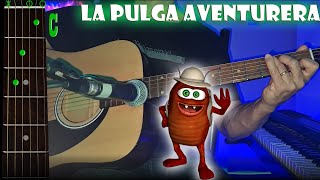 La Pulga Aventurera  Guitarra  Acordes  Tutorial  Cover [upl. by Ogaitnas]