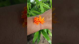 Happy Raksha bandhan😊 RakhiMalayalam anaswarajithin rakshabandhan malayalam shorts [upl. by Ettennig542]