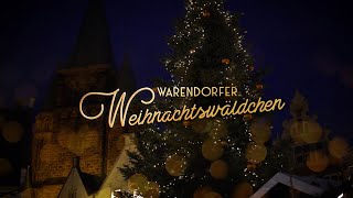 WARENDORFER WEIHNACHTSWÄLDCHEN 2024  Warendorf  kluckkola StadtWarendorf1 [upl. by Wojak596]