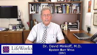 Dr David Minkoff Explains Epstein Barr Virus [upl. by Retxed]