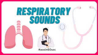 Respiratory Sounds  Abnormal Breath sounds acein60sec clinical [upl. by Prem]