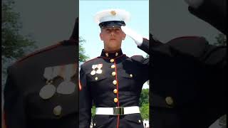 Injured Marine Holds Salute for Three Hours Then bikers suddenly appear during Memorial Day [upl. by Negam]