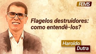 Flagelos destruidores como entendêlos com Haroldo Dutra Dias [upl. by Rafaello671]