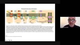 Récepteurs CPG et récepteurs tyrosine kinases  Master  Biologie et santé [upl. by Goldshlag]