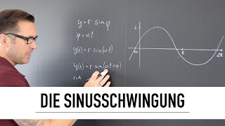 Was ist eine allgemeine Sinusschwingung  Sinusfunktion darstellen  periodische Schwingungen [upl. by Nordek]