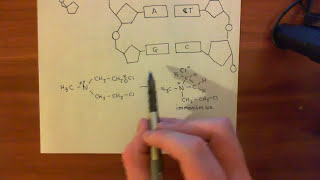 The Nitrogen Mustards Part 3 [upl. by Abas]