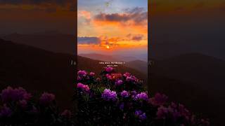 Ye Tune Kya Kiya 💗🥰  Slowed amp Reverb  Lyric Mahi youtube song viralshorts lyrics [upl. by Ennaul140]