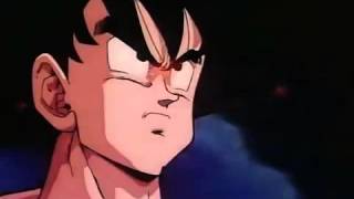 goku vs turles amv [upl. by Ferrel]