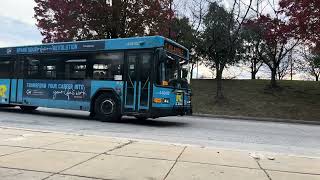 2016 Gillig Low Floor 40 Bus MCDOT RideOn on Route 10 to Hillandale [upl. by Meneau919]