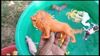 plastic toys animal video [upl. by Ellard]