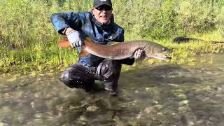 Taimen fishing Mongolia 2024 Teaser  Full video releasing shortly [upl. by Wilcox447]