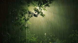 Sleep Very Well On A Rainy Night  Pouring Rain amp Loud Thunder Sounds  Nature Sounds For Sleeping [upl. by Ahsienar]