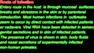 PCR Test for detection and treatment of Ebola Virus Genekam [upl. by Yajeet]