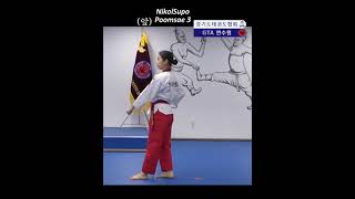 poomsae 3 lento [upl. by Crawley]