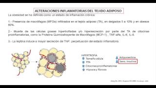 Generalidades Obesidad tejido adiposo y resistencia a la insulina aspectos biológicos [upl. by Herwick]